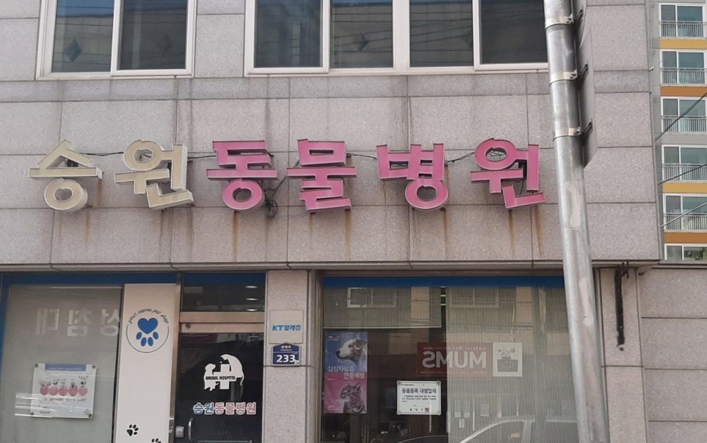 승원동물병원 사진 1