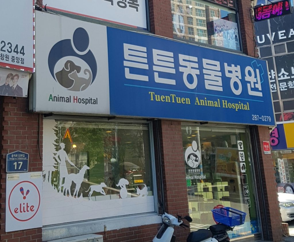 튼튼동물병원 사진 1