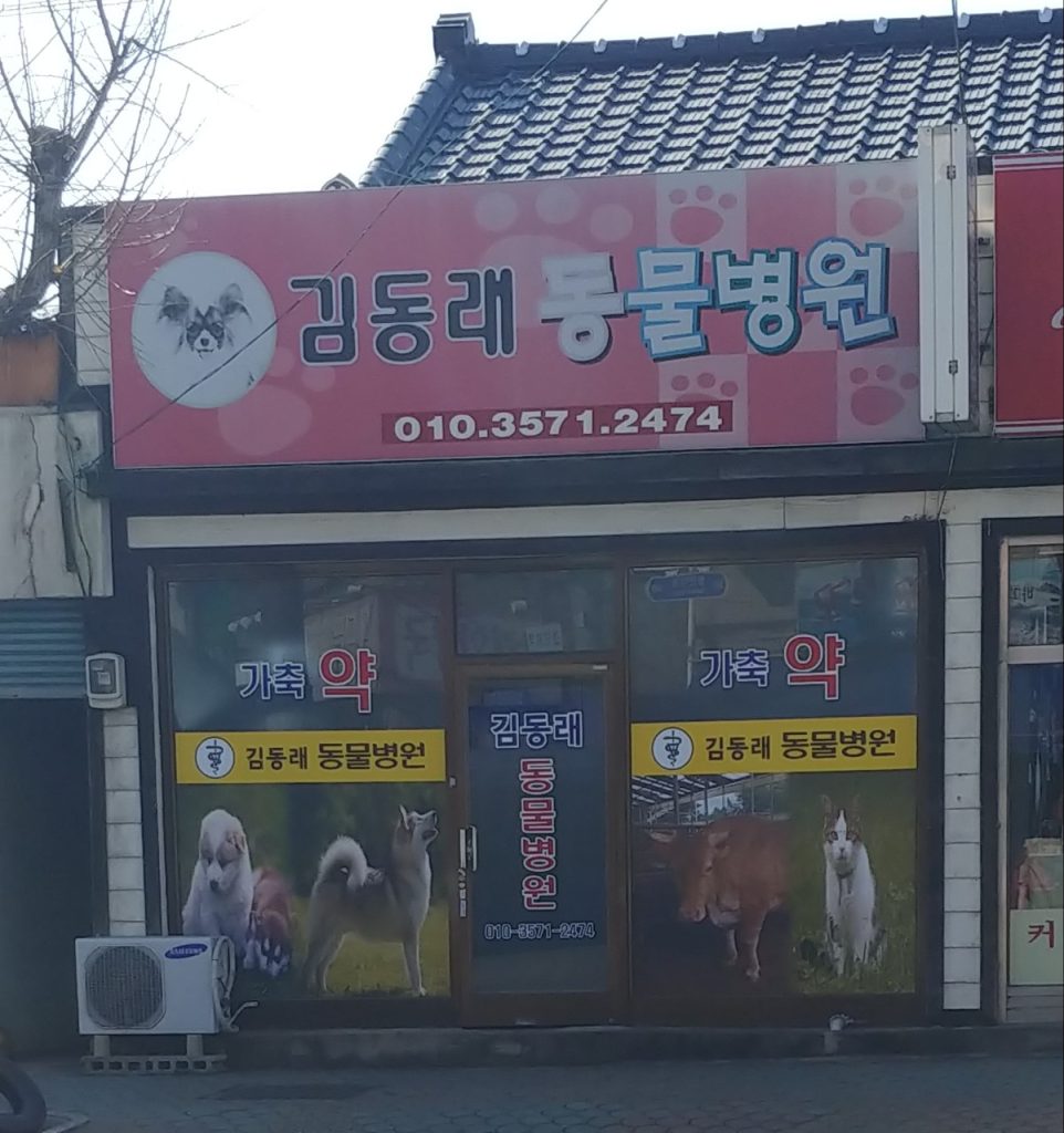 김동래동물병원 사진 1