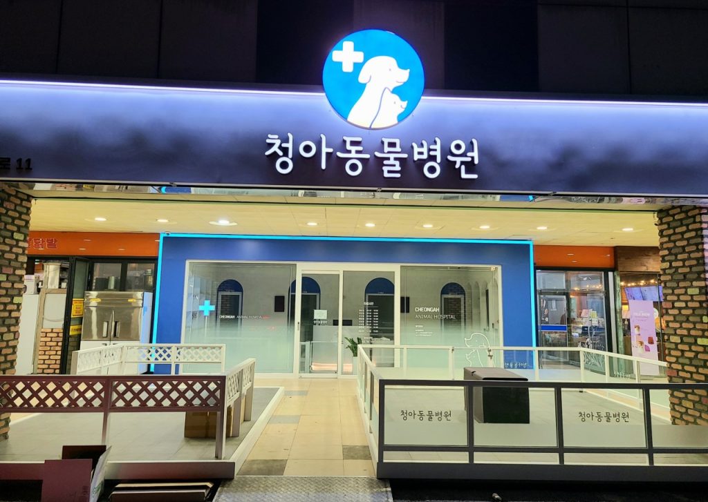 청아동물병원 사진 1