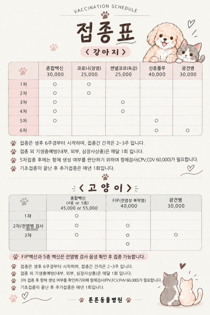 병원 진료비 이미지