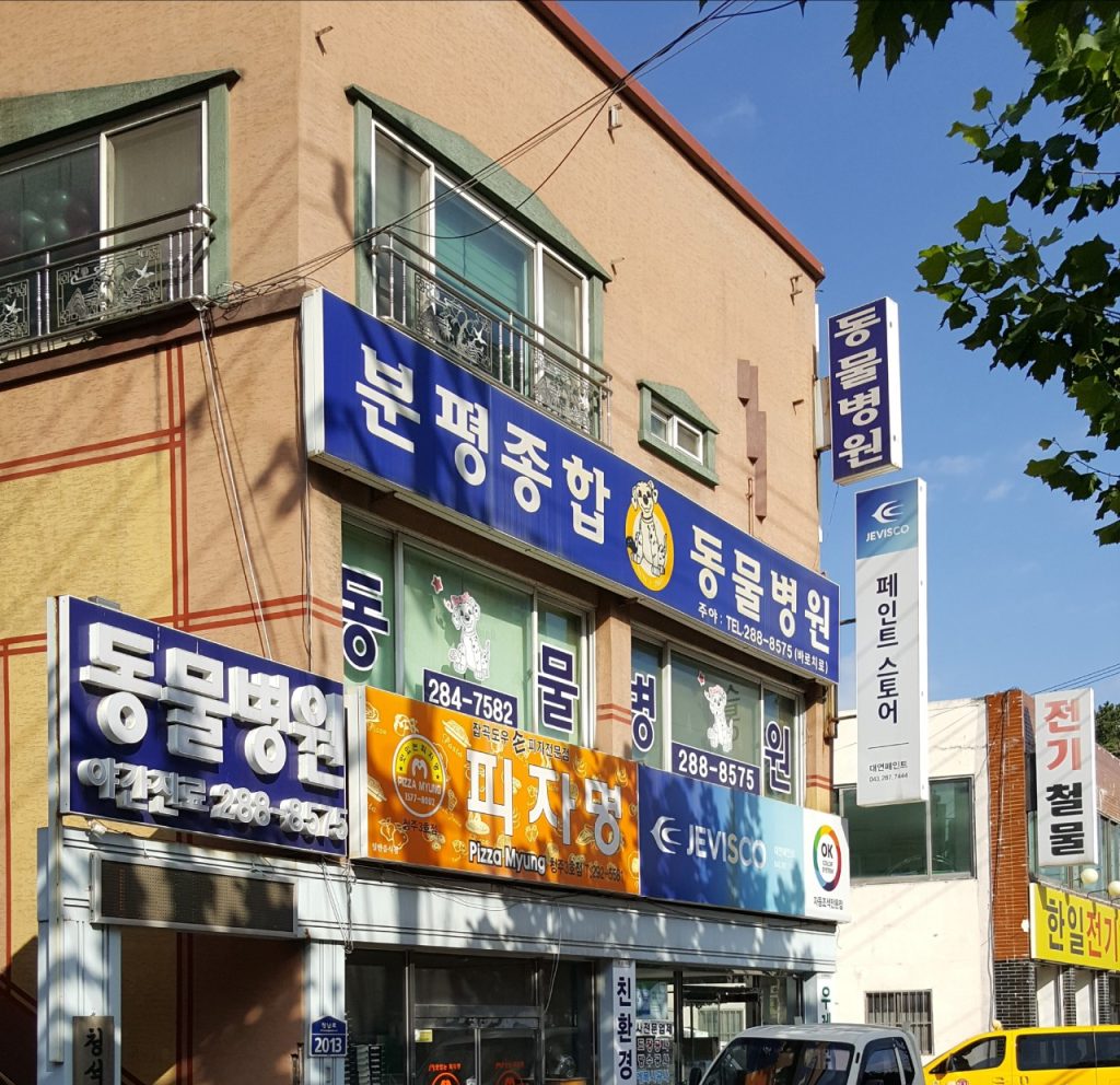 분평종합동물병원 사진 1