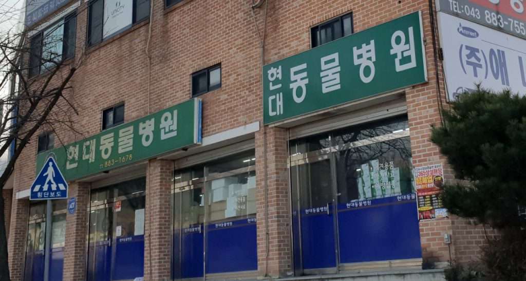 현대동물병원 사진 1
