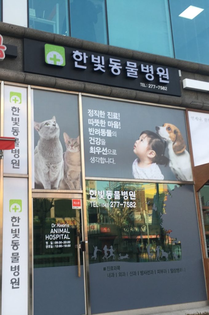 한빛동물병원 사진 1