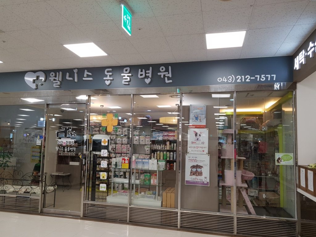 웰니스 동물병원 사진 1