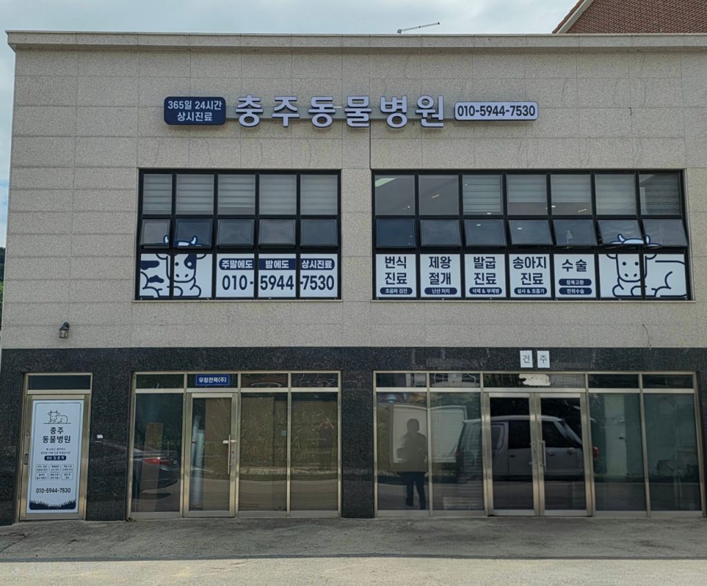 충주동물병원 사진 1