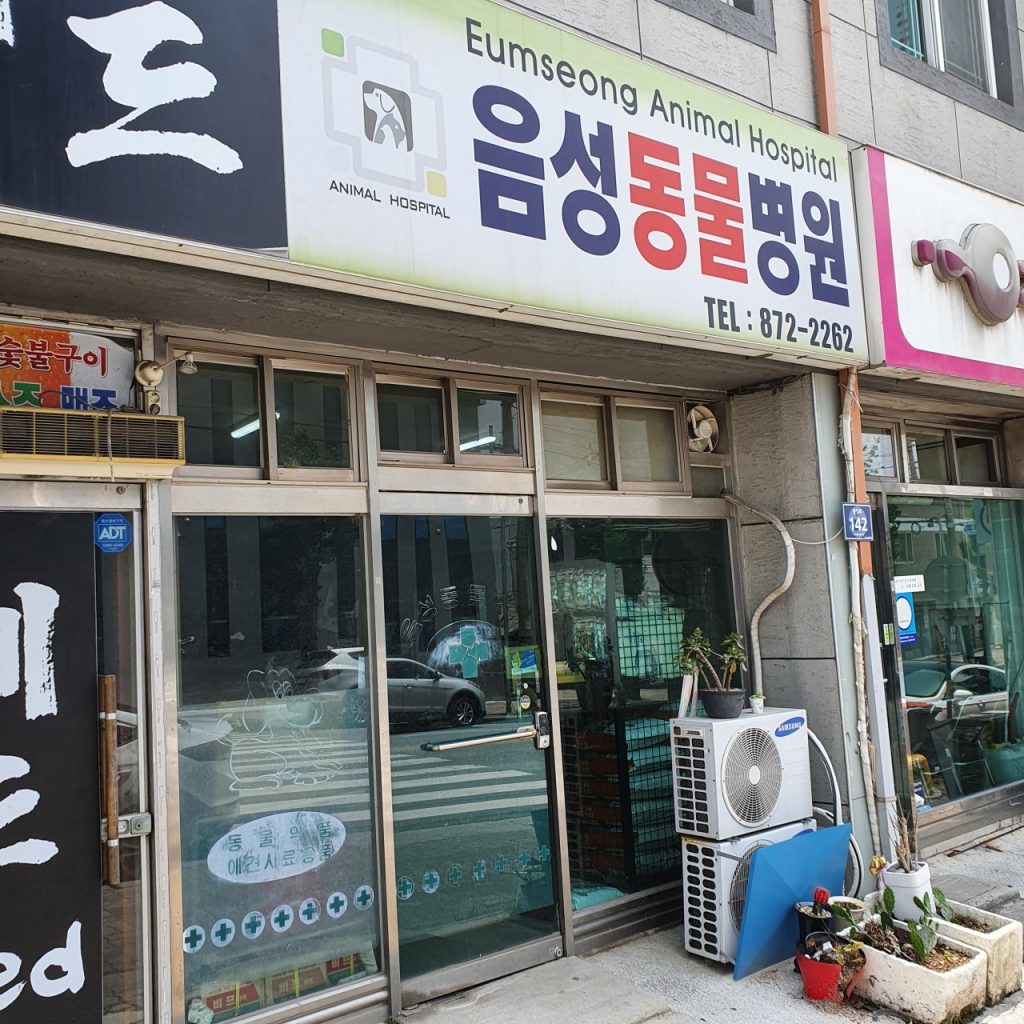 음성동물병원 사진 1