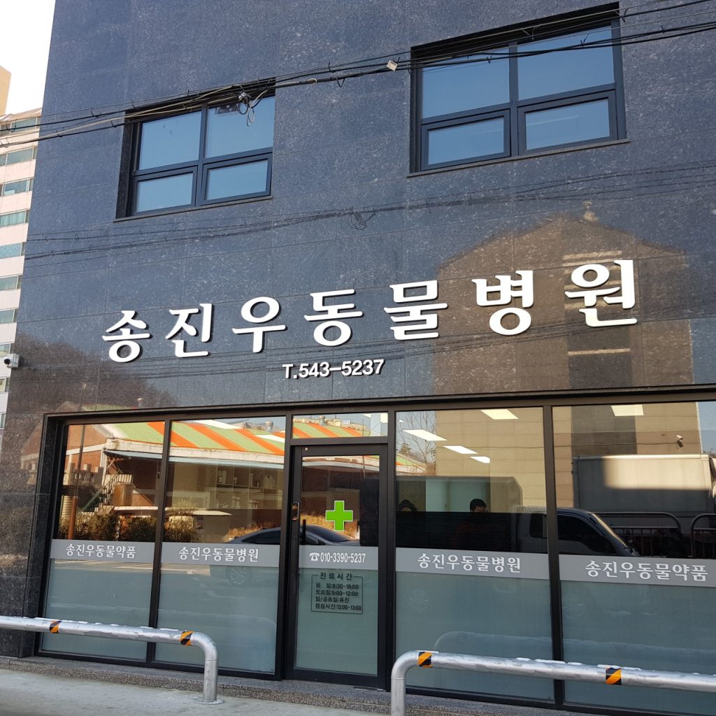 송진우동물병원 사진 1