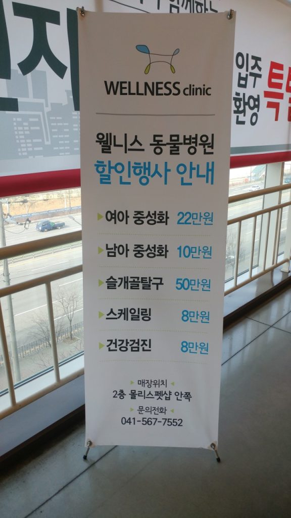 병원 진료비 이미지