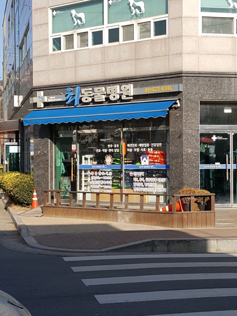 최동물병원 사진 1