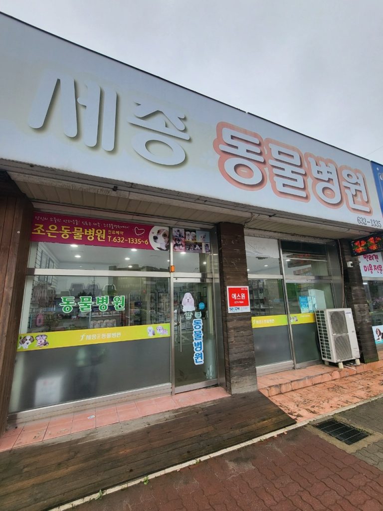 세종동물병원 사진 1