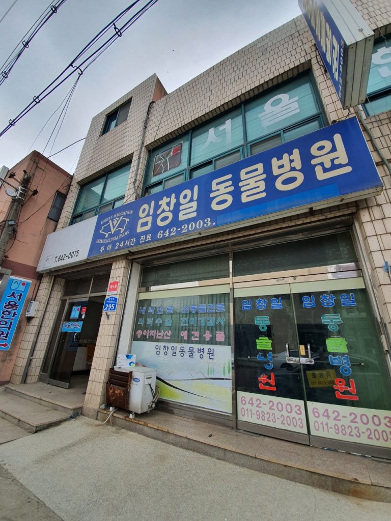 임창일 동물병원 사진 1