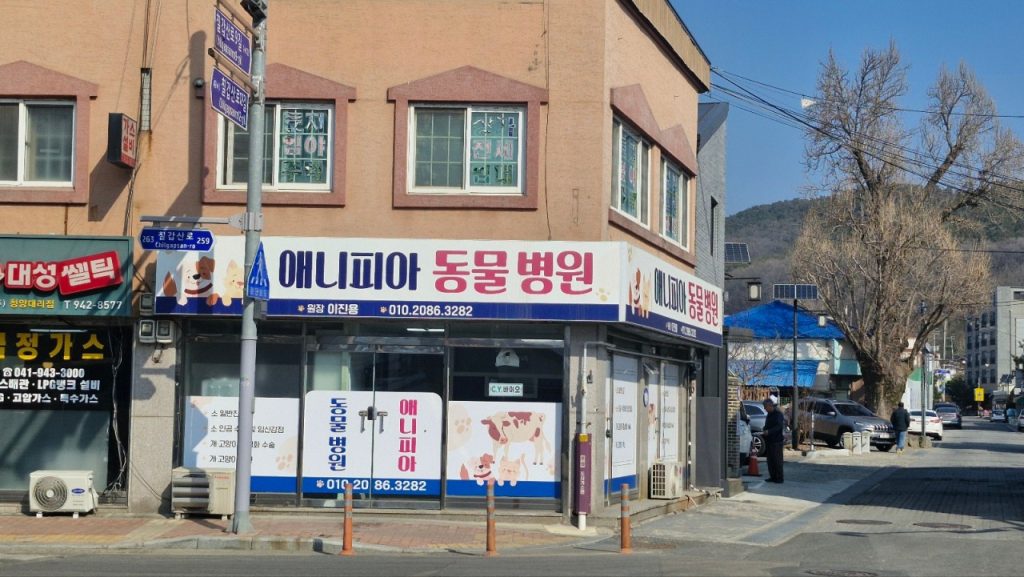 애니피아동물병원 사진 1