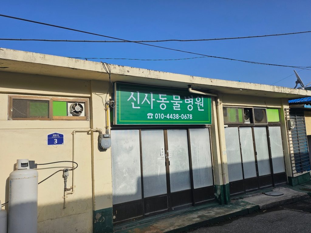 신사동물병원 사진 1