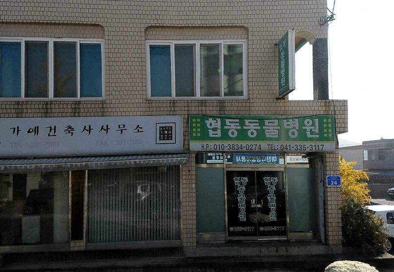 협동동물병원 사진 1