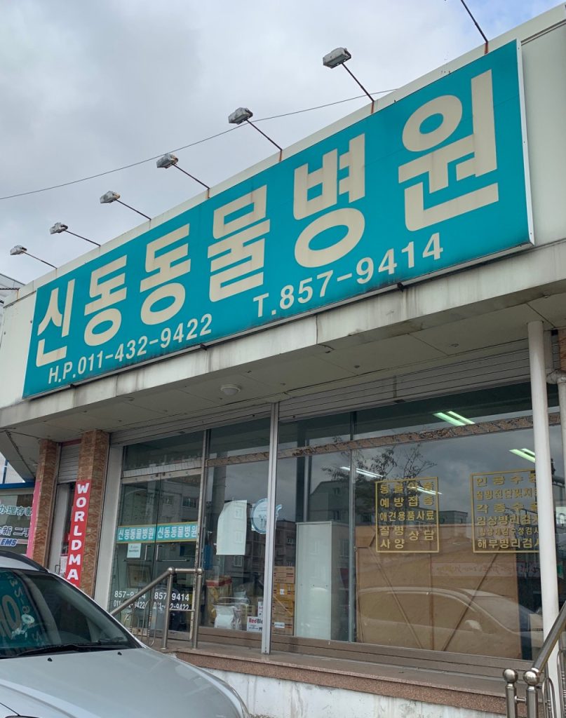 신동동물병원 사진 1