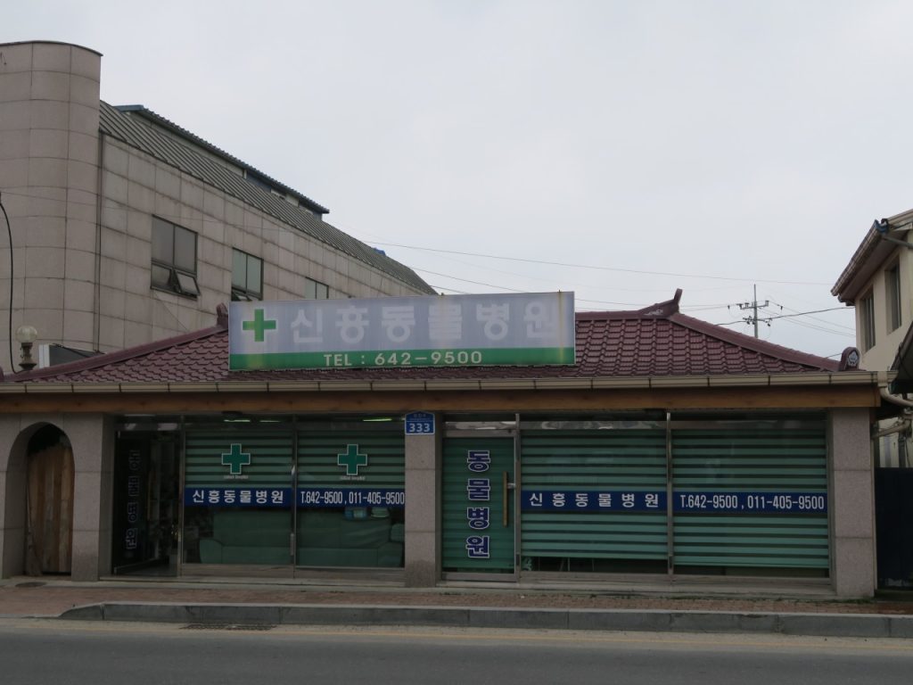 신흥동물병원 사진 1