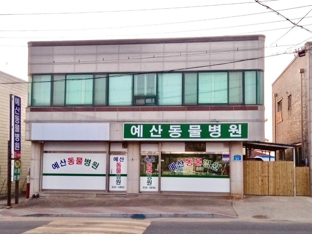 예산동물병원 사진 1