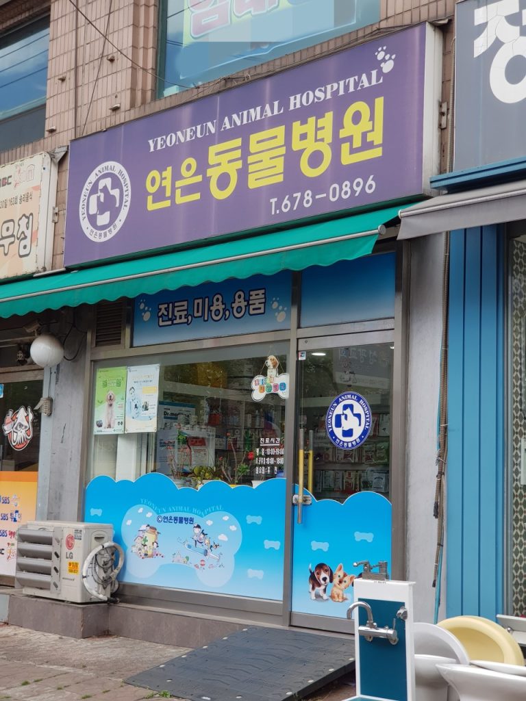 연은동물병원 사진 1