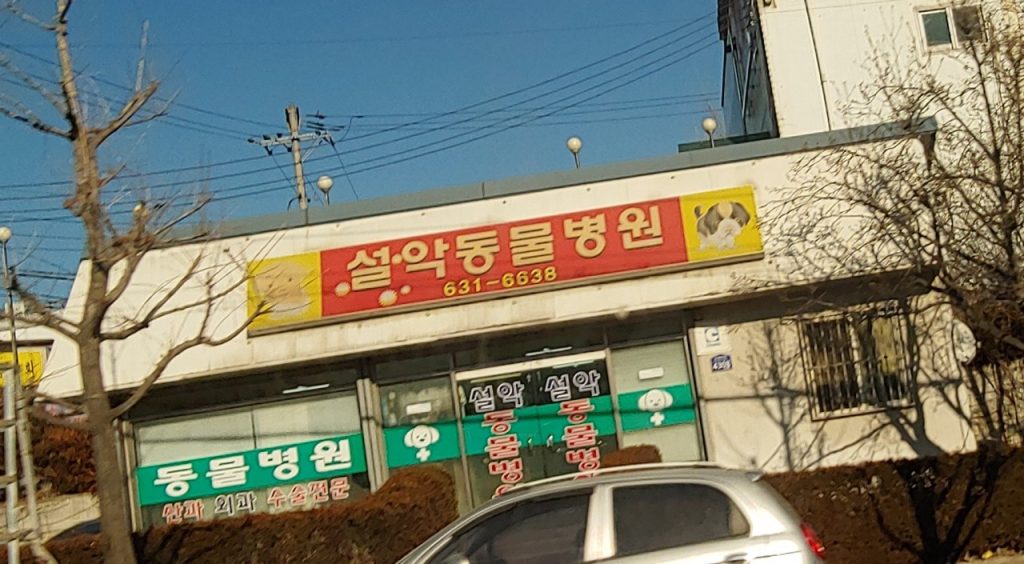 설악동물병원 사진 1