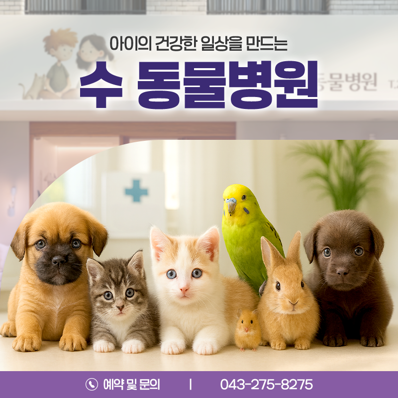 수동물병원 사진 1
