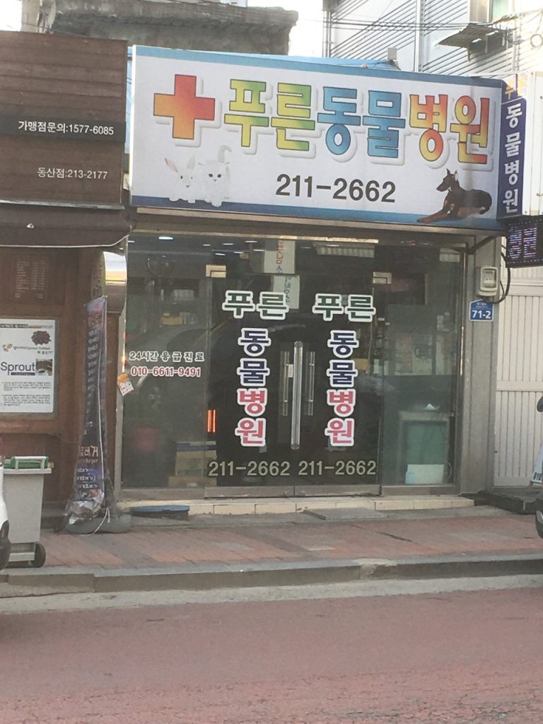 푸른동물병원 사진 1