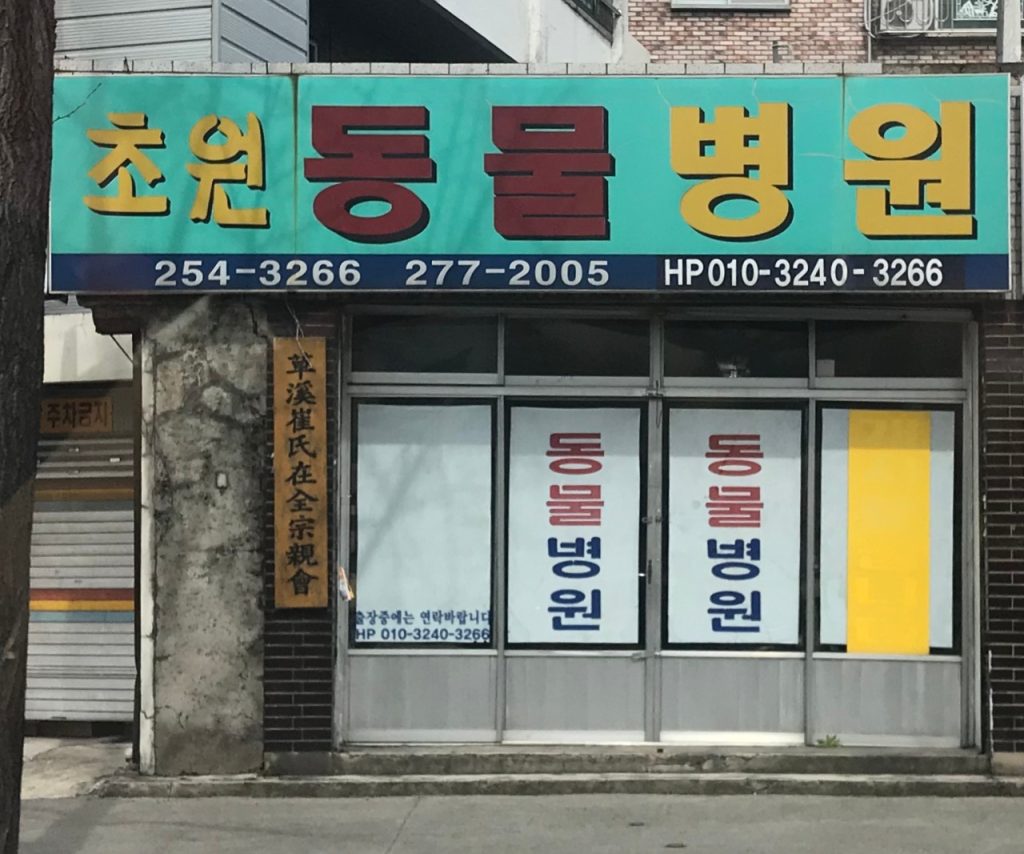 초원동물병원 사진 1