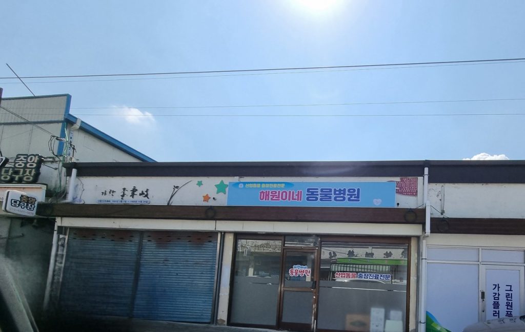 해원이네동물병원 사진 1