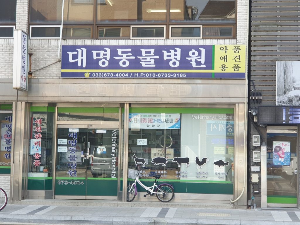 대명동물병원 사진 1