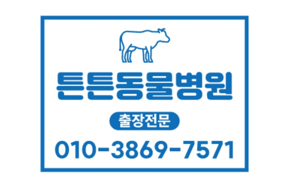 튼튼동물병원 사진 1