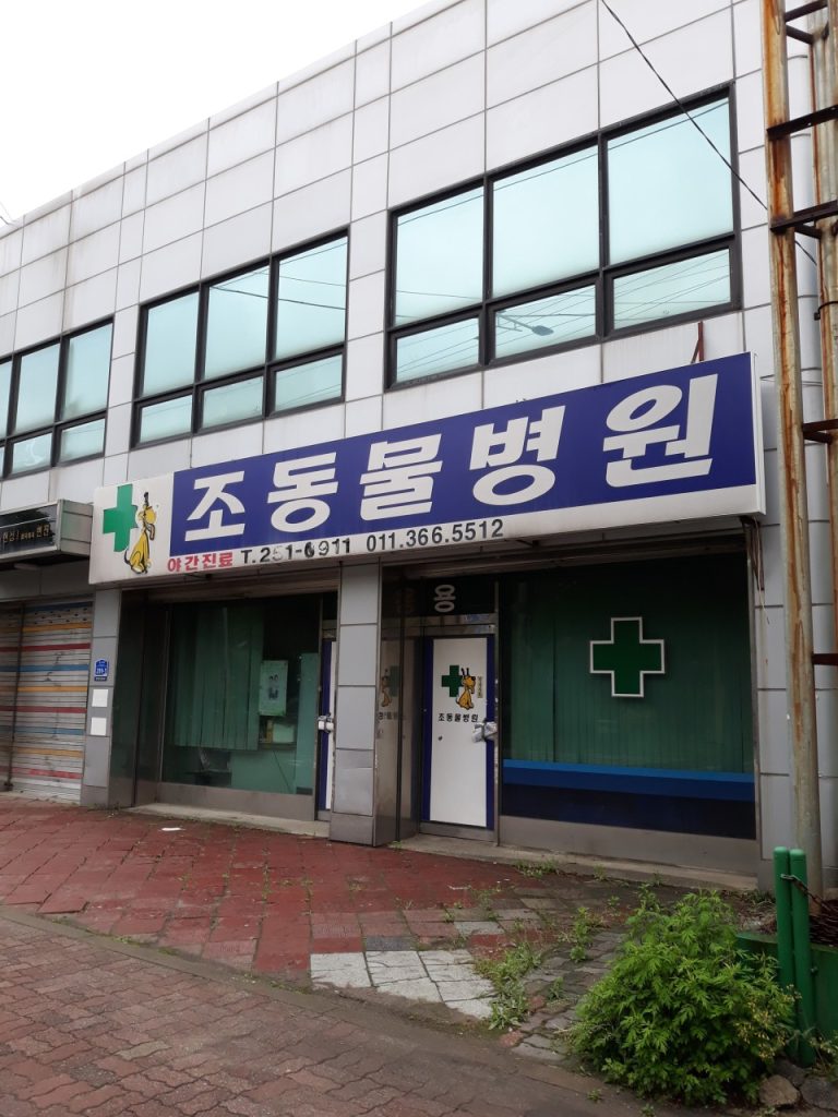 조동물병원 사진 1