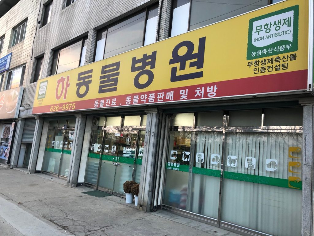 하동물병원 사진 1