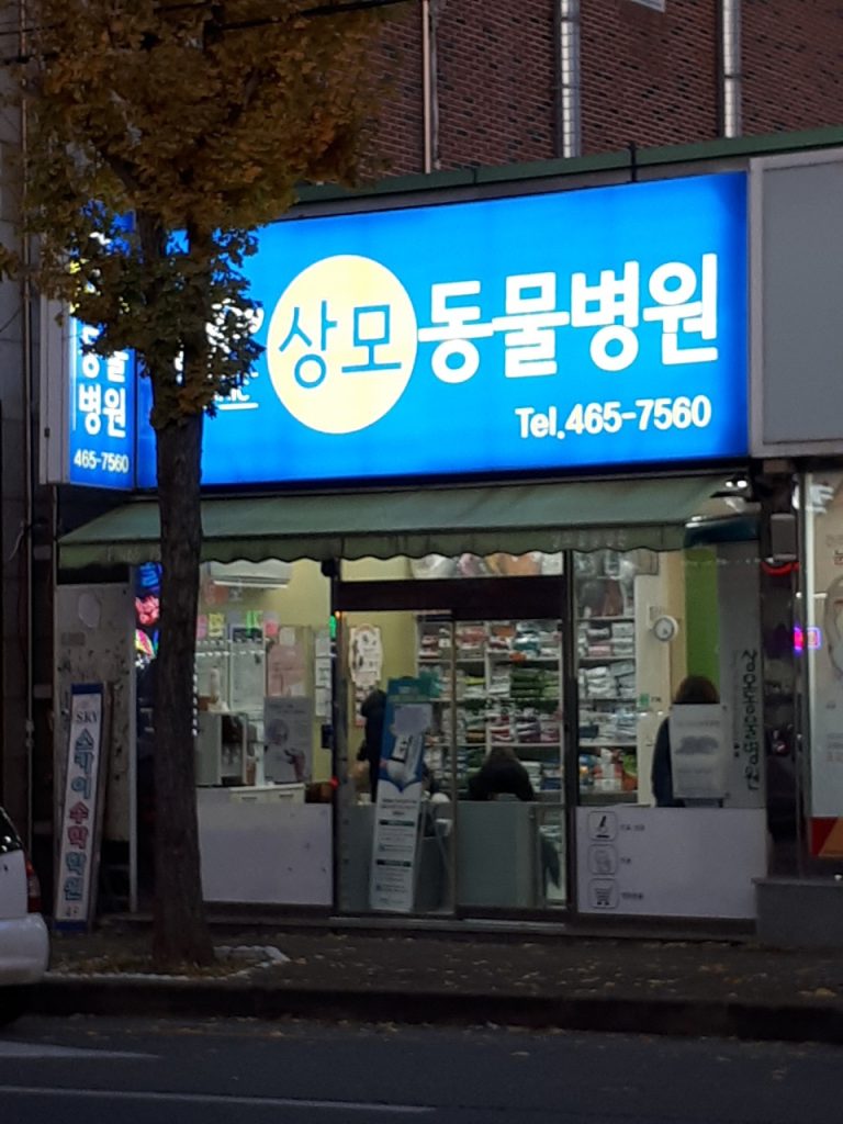상모동물병원 사진 1