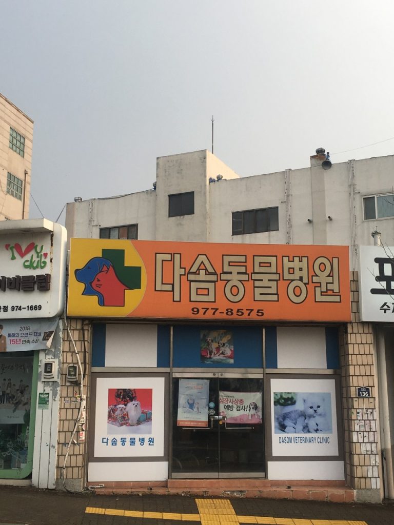 다솜동물병원 사진 1