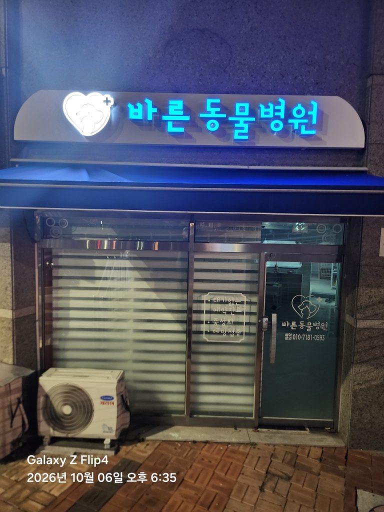 바른동물병원 사진 1