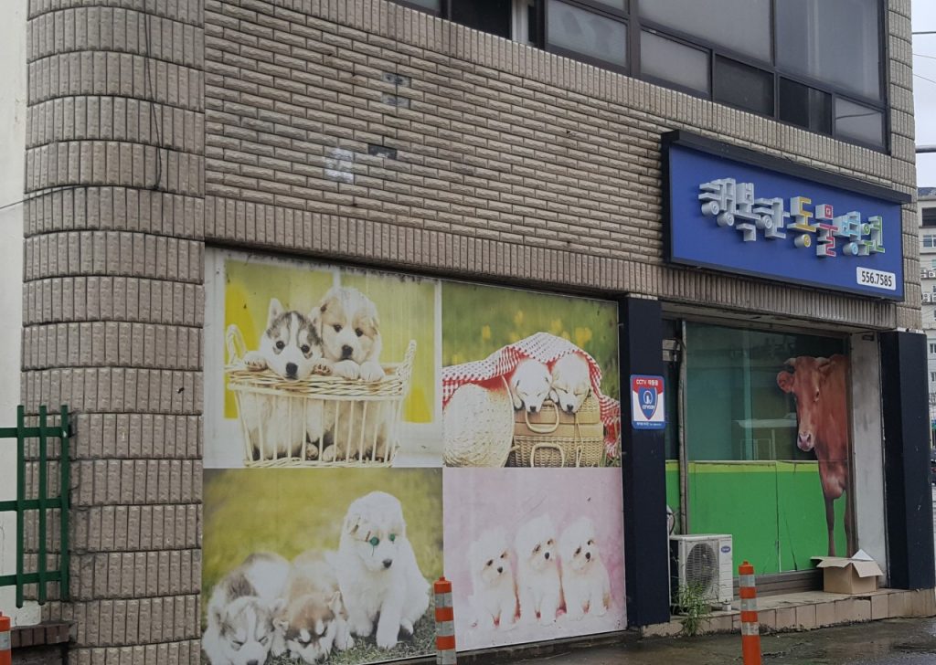 행복한동물병원 사진 1