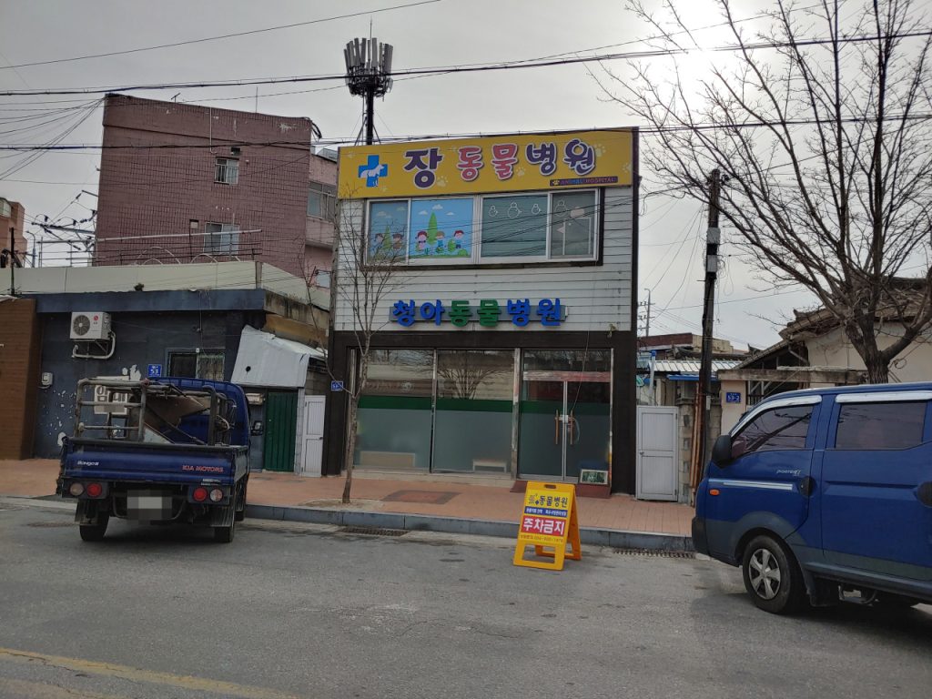 청아동물병원 사진 1
