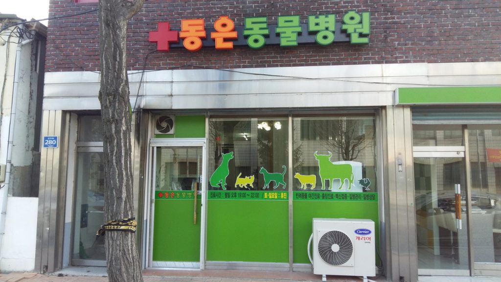 동은동물병원 사진 1