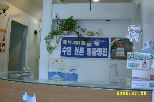 김수의과동물병원 사진 1