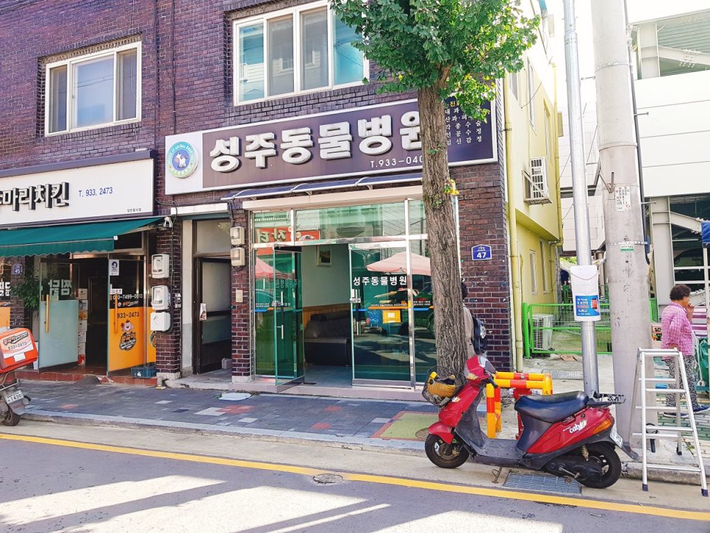 성주동물병원 사진 1