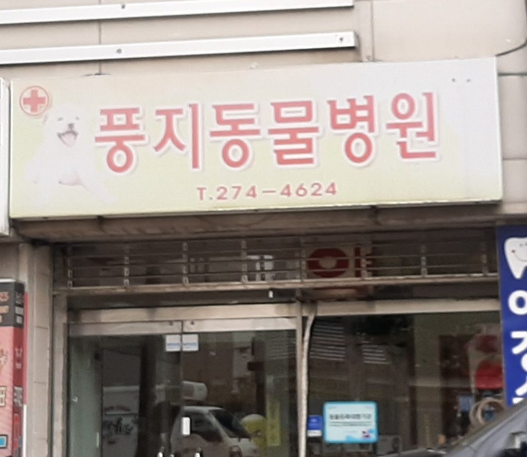 풍지동물병원 사진 1
