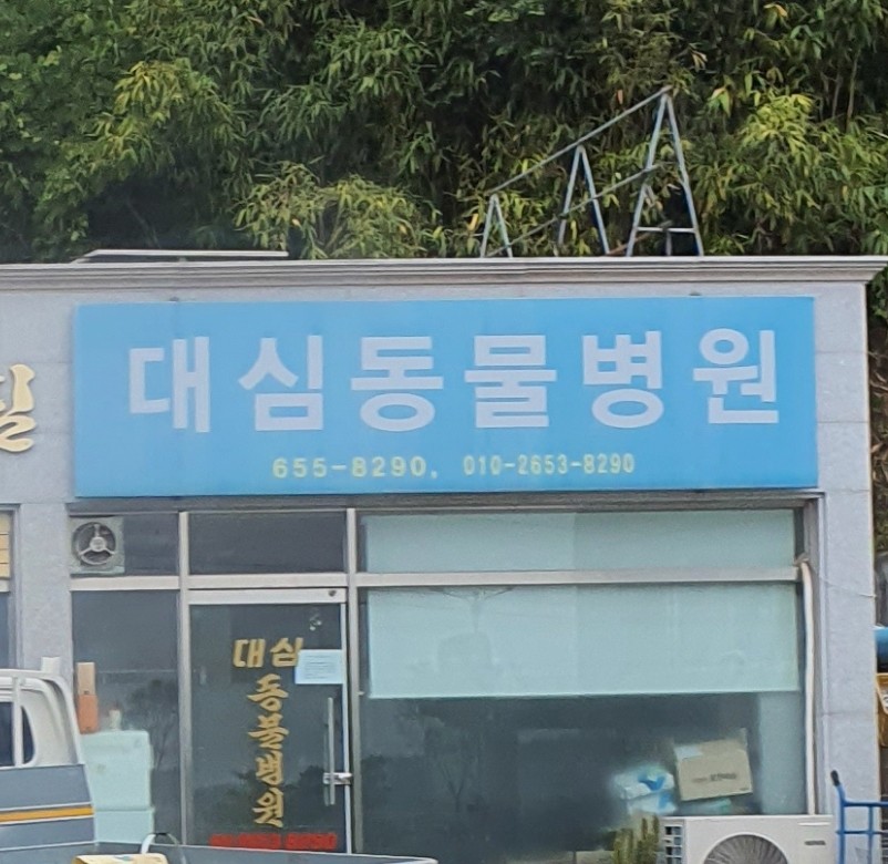 대심동물병원 사진 1