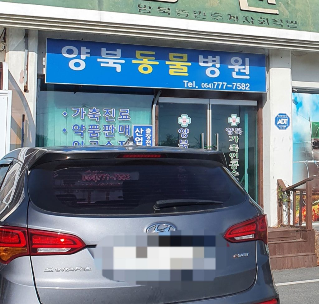 양북동물병원 사진 1