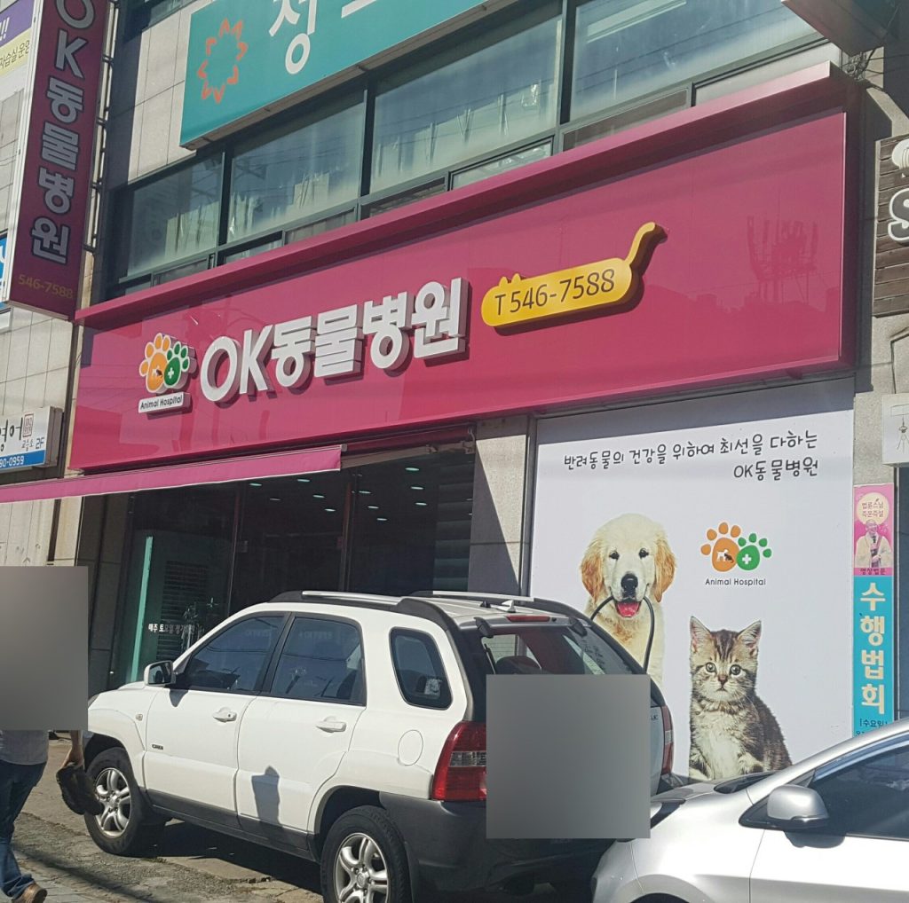 OK동물병원 사진 1