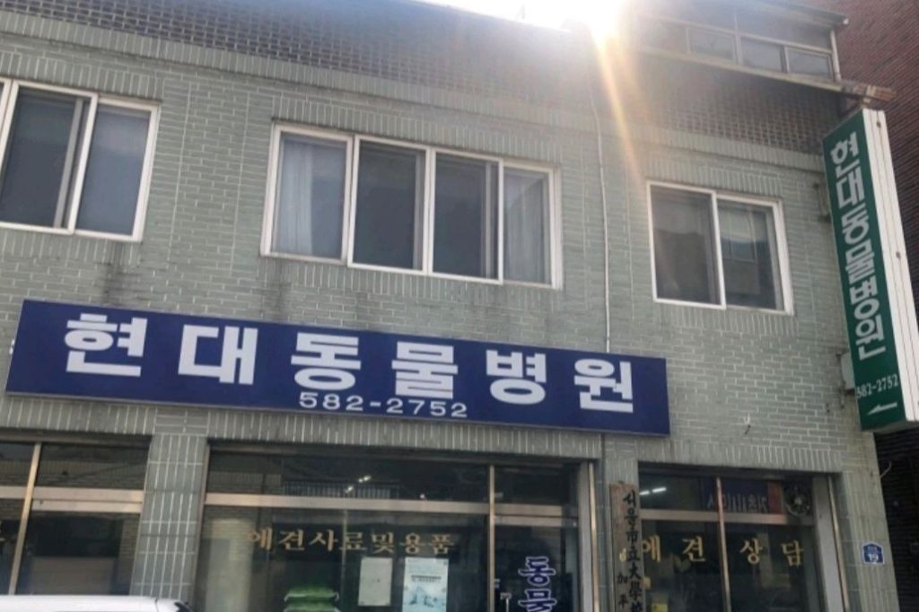 현대동물병원 사진 1