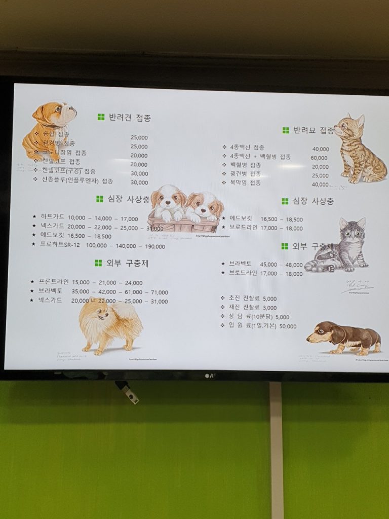 병원 진료비 이미지