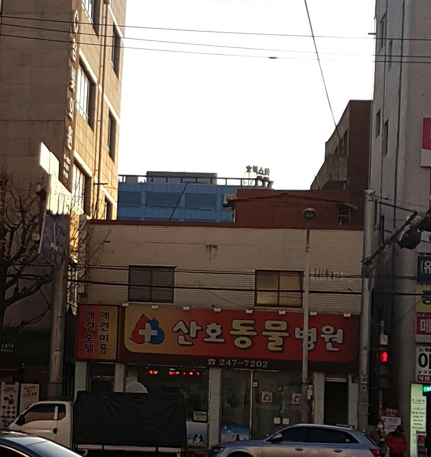 산호동물병원 사진 1