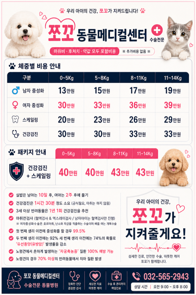병원 진료비 이미지