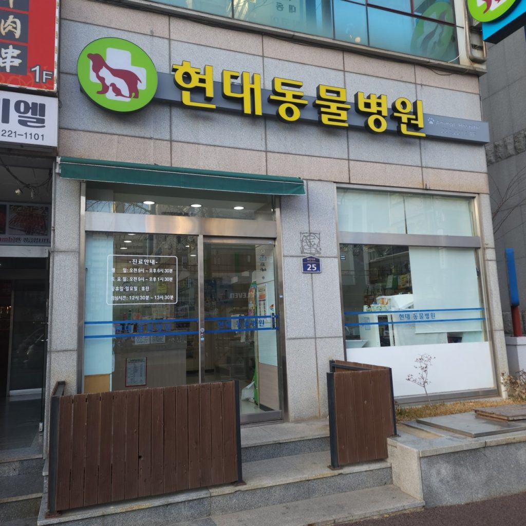 현대동물병원 사진 1