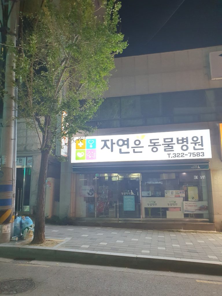 자연은동물병원 사진 1
